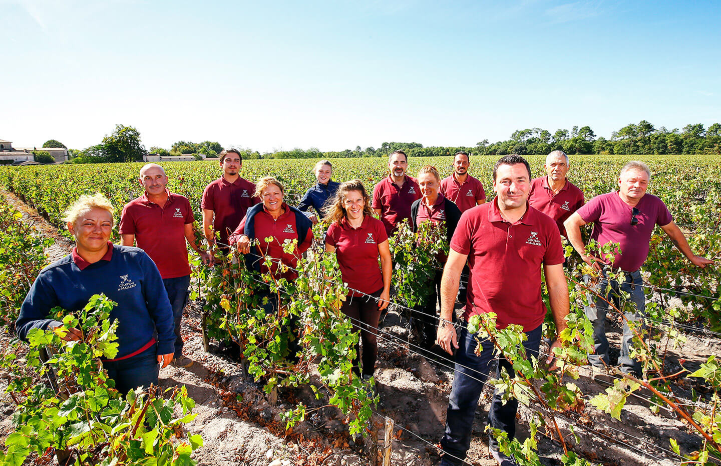 Équipe Vigne Château de Malleret