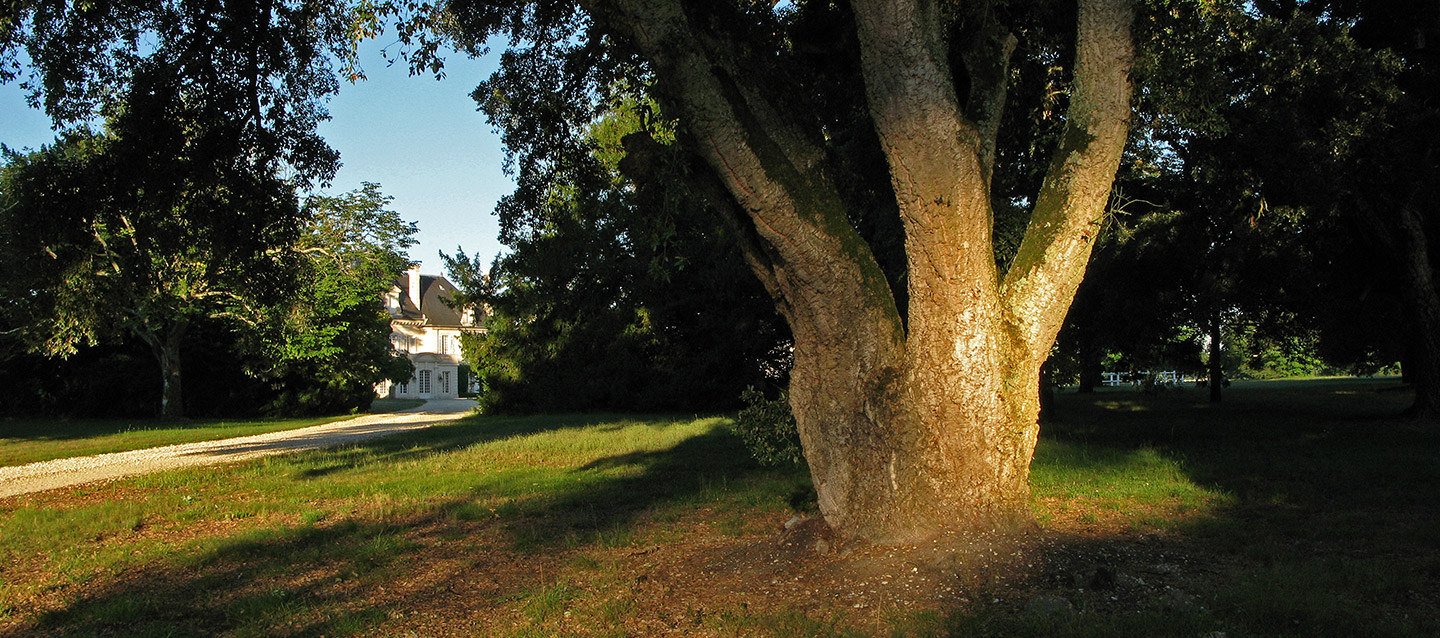 Château de Malleret